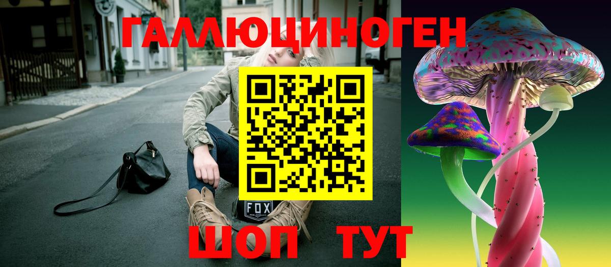 Псилоцибиновые грибы мицелий Павловский Посад